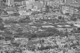 preview bw