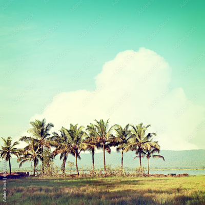 image to crop