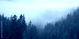 preview cold