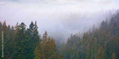 image to crop