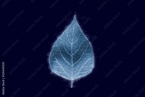 preview original