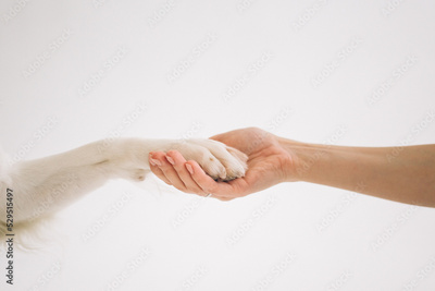 image to crop