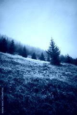 preview cold