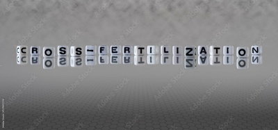 image to crop