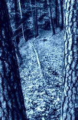 preview cold