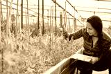 preview sephia