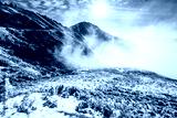 preview cold