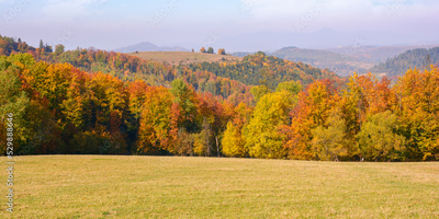 image to crop