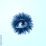 preview cold