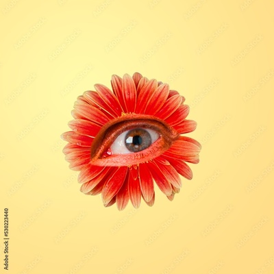 image to crop
