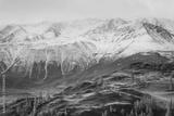 preview bw
