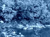 preview cold