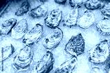 preview cold