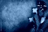 preview cold