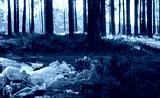 preview cold