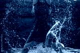 preview cold