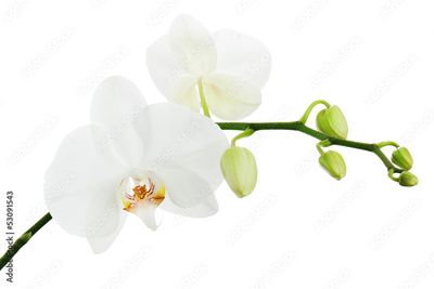 image to crop