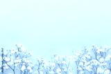 preview cold
