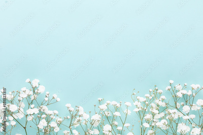 image to crop