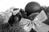 preview bw