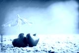 preview cold