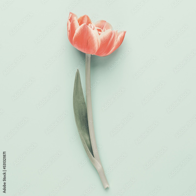 image to crop
