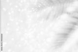 preview bw