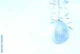 preview cold