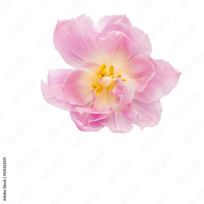 image to crop