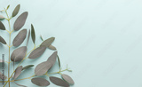 preview original