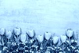 preview cold