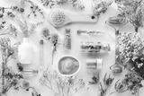 preview bw