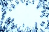 preview cold
