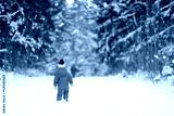 preview cold