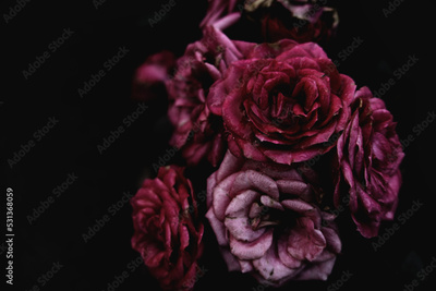 image to crop
