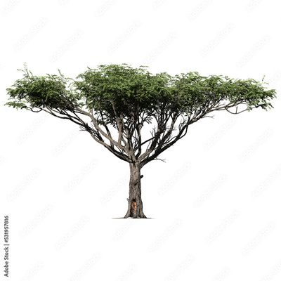 image to crop