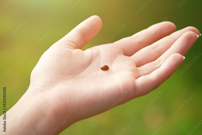 image to crop