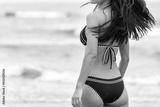 preview bw