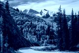 preview cold