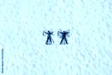 preview cold