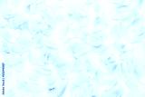 preview cold