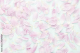 preview original