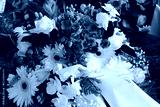 preview cold