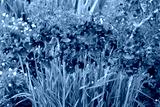 preview cold
