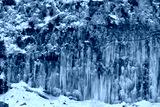 preview cold
