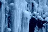 preview cold