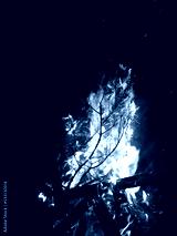 preview cold