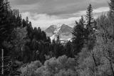 preview bw