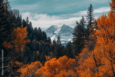 image to crop