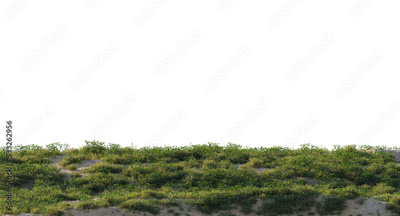 image to crop